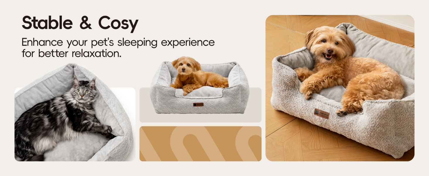 dog bed