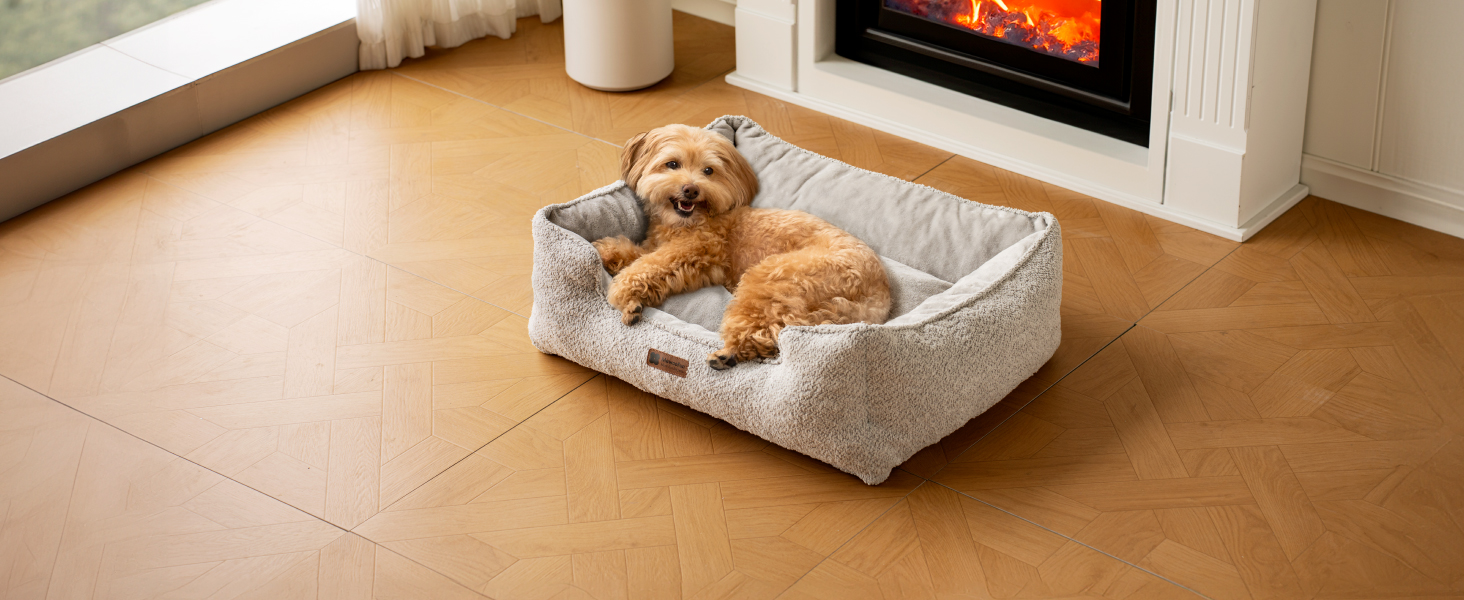dog bed