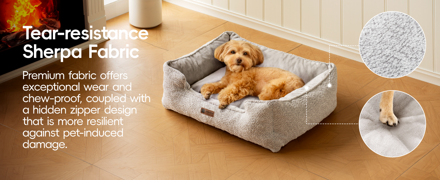 dog bed