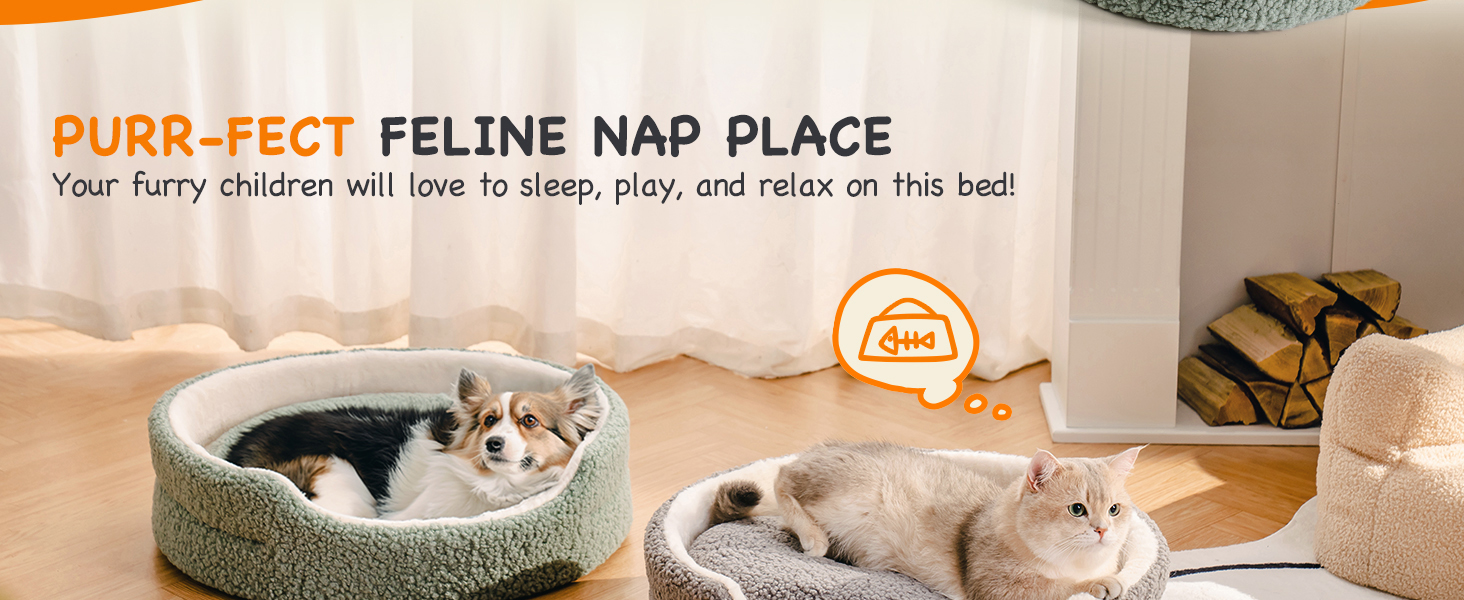 cat_bed_small_dog_bed
